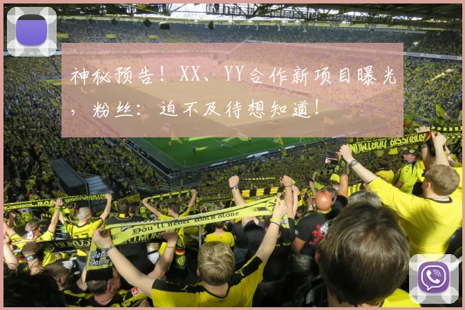 神秘预告！XX、YY合作新项目曝光，粉丝：迫不及待想知道！