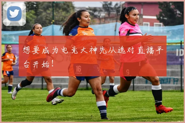 想要成为电竞大神先从选对直播平台开始！