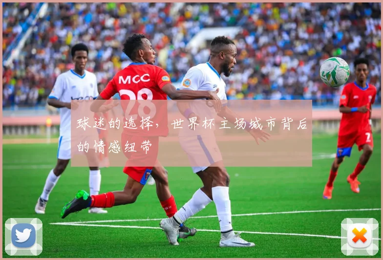 球迷的选择，世界杯主场城市背后的情感纽带